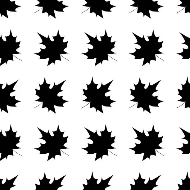 Vector illustration of Elegant seamless pattern with black maple leaves on a white background. Vector illustration.