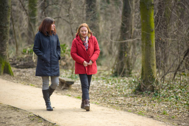 istock Two friends walking and talking in the park 1310159597
