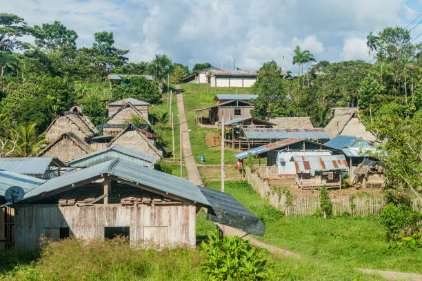 istock Village Pantoja in peruvian jungle 1310159934