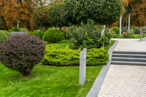 istock Shrubs and trees along  in landscape design 1310161437