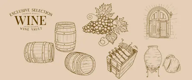 Vector illustration of Vintage style wine attributes