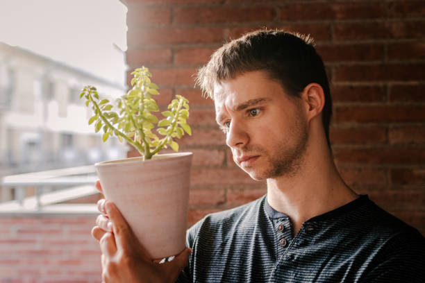 istock Young man looking at a plant 1310163915