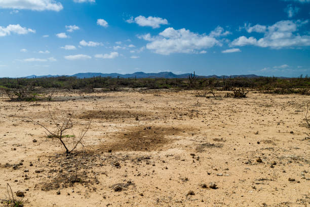 istock La Guajira desert in Colombia 1310165218