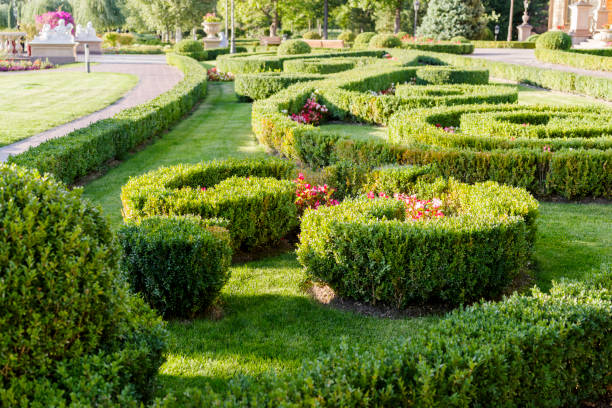istock geometric flower bed in landscape design 1310166475
