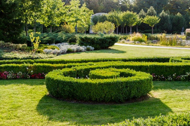 istock geometric flowerbed  with landscape design 1310166483