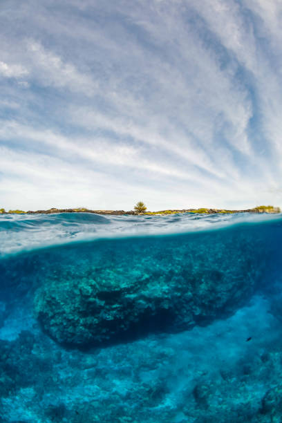 istock Big Island above and below 1310172727