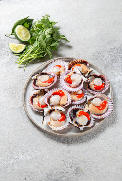 istock Seafood. Shellfish. Raw scallops with lemon and cilantro on gray plate , gray background 1310173403