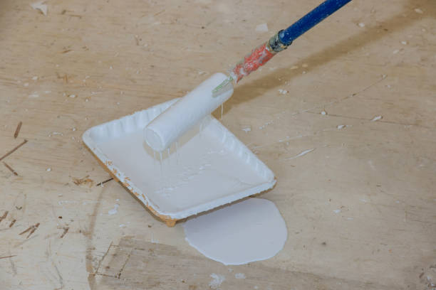istock Roller is wetted in a liquid primer in a plastic container before painting the walls with paint 1310182545