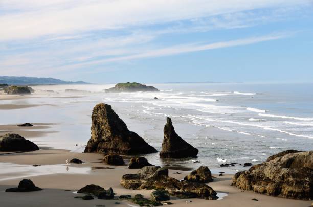istock View Looking Down at Rocks and Surf Line at Coquille Point Beach 1310185838