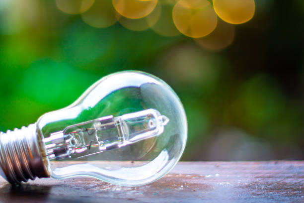 istock Light bulb on wood plank against nature bokeh with circle theme background. 1310186544