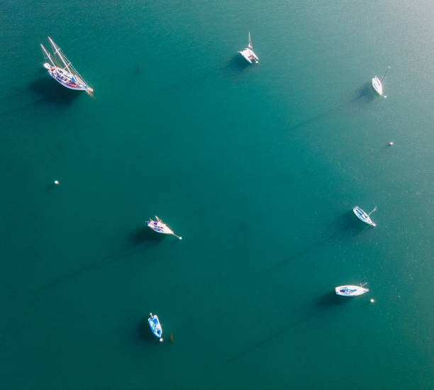 istock Birdseye Boats 1310189260