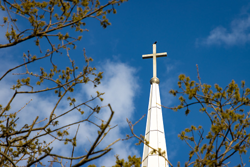 A bird sits on a silver cross atop a Christian Church steeple with tree branches in the foreground.