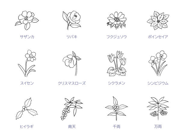 冬の花のラインアートアイコンセット - 椿点のイラスト素材／クリップアート素材／マンガ素材／アイコン素材
