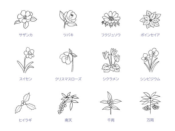 Winter Flower Line Art Icon Set Winter Flower Line Art Icon Set hellebore stock illustrations