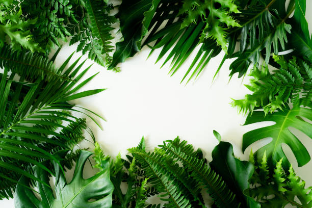 istock green leaf background, nature background concept 1310193118