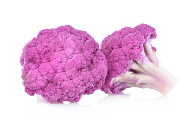 istock Purple brassica oleracea isolated on white background 1310197541