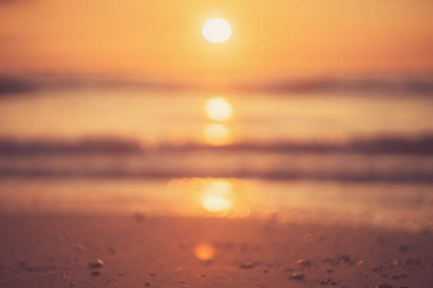 istock Tropical beach with smooth wave and sunset sky abstract background. 1310198958