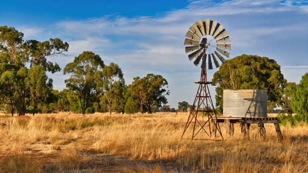 istock Windmill and Water Tank in Late Afternoon Light 1310202433