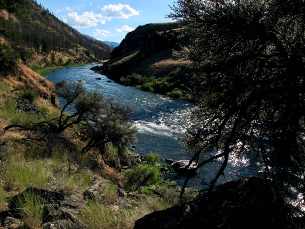 istock Middle Fork of the Salmon River, Little Creek 1310205080