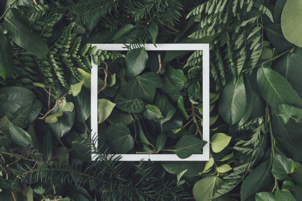 istock Creative arrangement made with natural spring leaves with paper card note. MInimal flat lay background. 1310208299