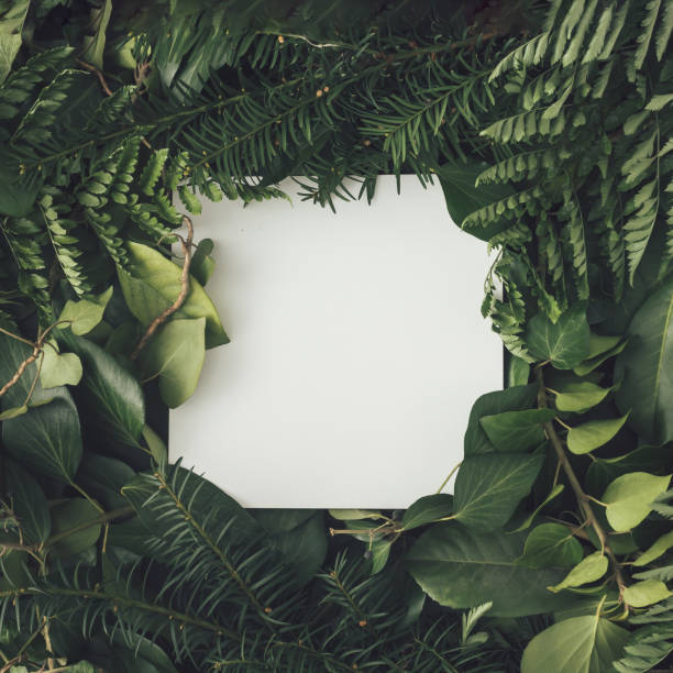 istock Creative arrangement made with natural spring leaves with paper card note. MInimal flat lay background. 1310208310