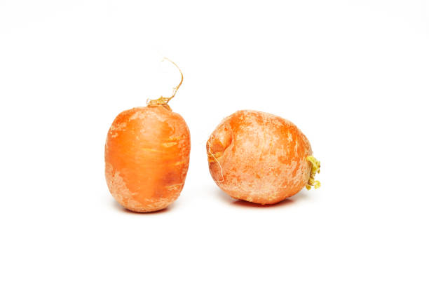 Fresh natural ugly raw carrot isolated on white background.