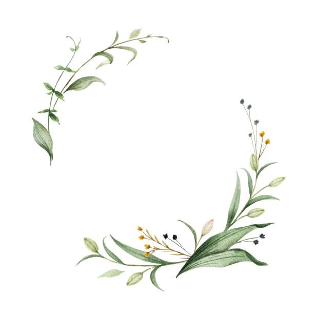istock Watercolor vector wreath of green branches and leaves isolated on a white background. Flower hand painted illustration for greeting cards, wedding invitations, banner with space for text and more. 1310216930