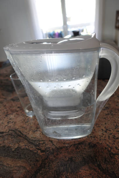 istock Filtering water pitcher  Drinking water  Food hygiene 1310218846