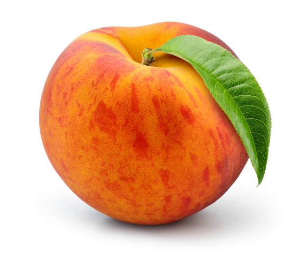 istock Peach isolated. Peach with leaf on white background. Full depth of field. 1310220190