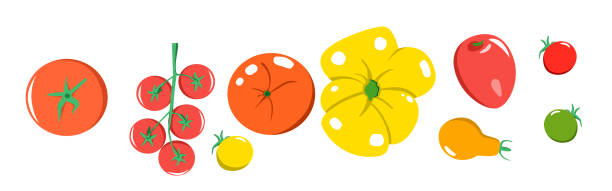 illustrazioni stock, clip art, cartoni animati e icone di tendenza di un luminoso set vettoriale di pomodor colorati. - cherry tomato