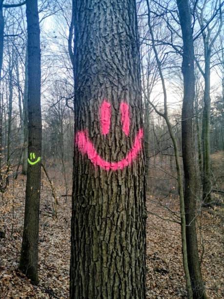Smile in the wood