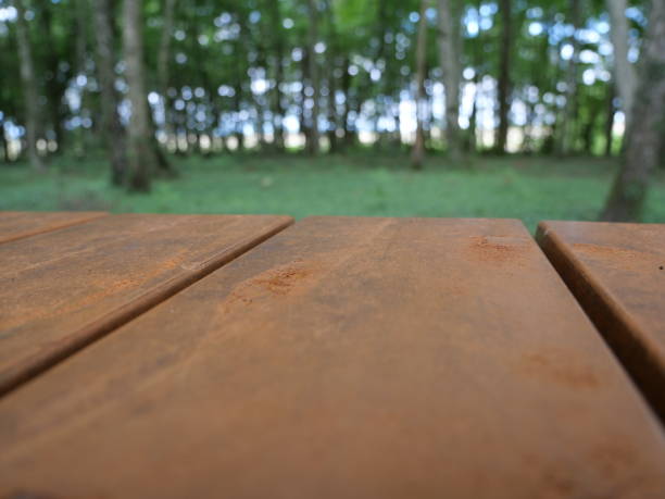 istock Wooden table with forest in the background 1310221811