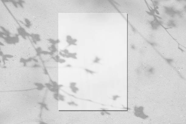 istock Empty white vertical rectangle poster mockup with leaves and flowers shadows 1310221935