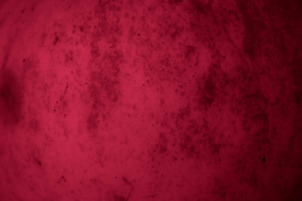 istock green apple skin with visible details. background 1310223830