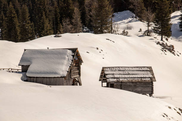 istock Mountain pasture Dedno polje in winter time 1310224136