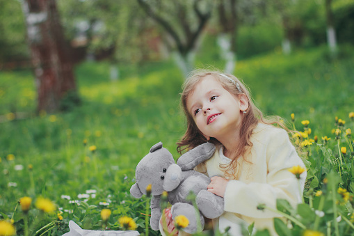 A beautiful girl in white holds a grey teddy bear in spring garden. Portrait of child among green grass and yellow dandelions. Young lady sitting in sunny blooming park and smilling.