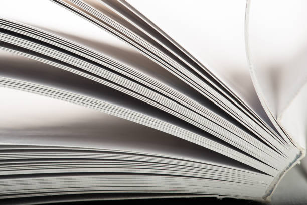 istock Education and wisdom concept - Macro view of book pages 1310229622