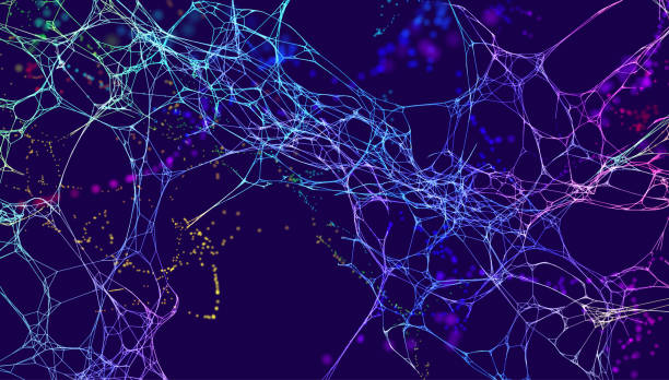 ilustrações de stock, clip art, desenhos animados e ícones de technology vector background. science data network vector background. organic neural network. - sistema nervoso humano