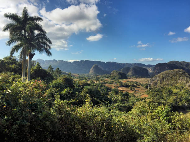 istock Beautiful countryside in Vinales in Cuba 2.1.2017 1310233924
