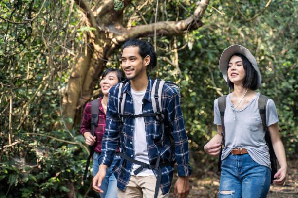 Group of young Asian man and woman friend traveling in the forest together. They are feeling fresh and relax in nature wild, looking and pointing the view then continue walking with happiness and fun. Group of young Asian man and woman friend traveling in the forest together. They are feeling fresh and relax in nature wild, looking and pointing the view then continue walking with happiness and fun. indian man walking in park stock pictures, royalty-free photos & images
