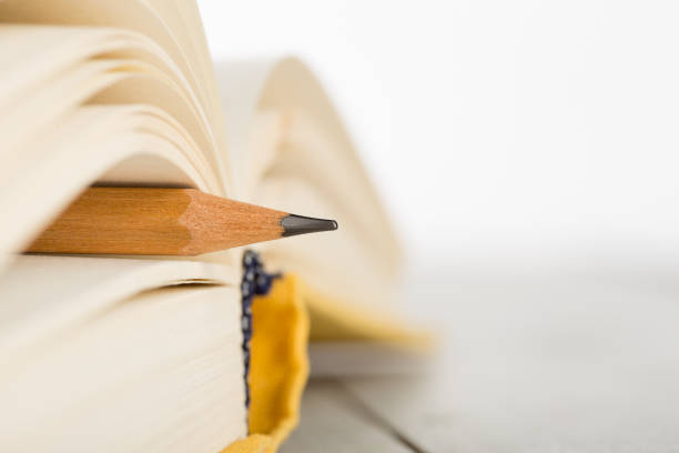 istock Education and wisdom concept - Macro view of book with pencil 1310234872
