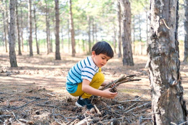istock A child collects firewood in the forest 1310235507