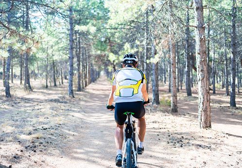 Professional male cyclist riding in forest