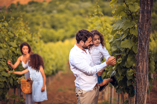 Family in the vineyard. Focus is on foreground.