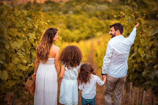 istock Family standing in vineyard. 1310239562