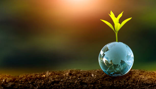 istock Renewable energy concept Earth Day or environment protection Hands protect forests that grow on the ground and help save the world. 1310242714
