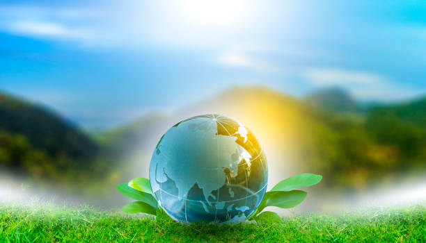 istock Renewable energy concept Earth Day or environment protection Hands protect forests that grow on the ground and help save the world. 1310242735