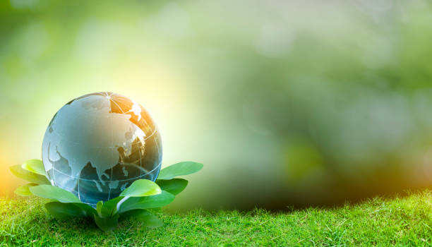 istock Renewable energy concept Earth Day or environment protection Hands protect forests that grow on the ground and help save the world. 1310242747