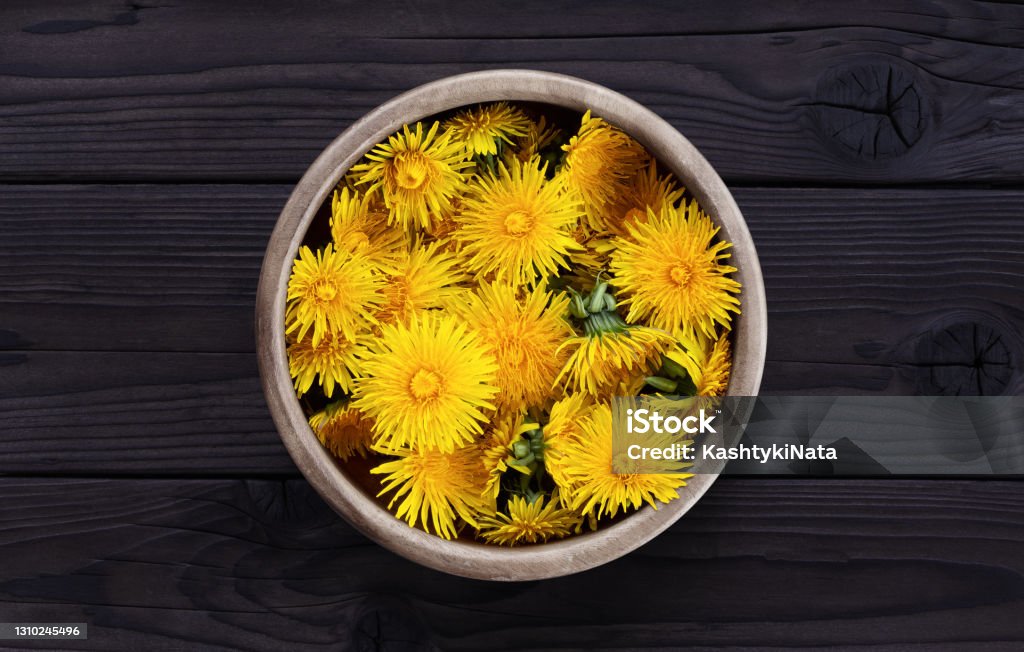 Dandelion in a wooden bowl on a dark wooden background Dandelion in a wooden bowl on a dark wooden background. Fresh dandelion flowers picked in the garden for tea or making essences. For cooking, medical and cosmetology Dandelion Stock Photo