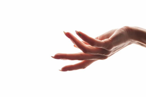 istock female hand on a white background 1310246768